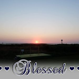 Meet your Posher, Lynn